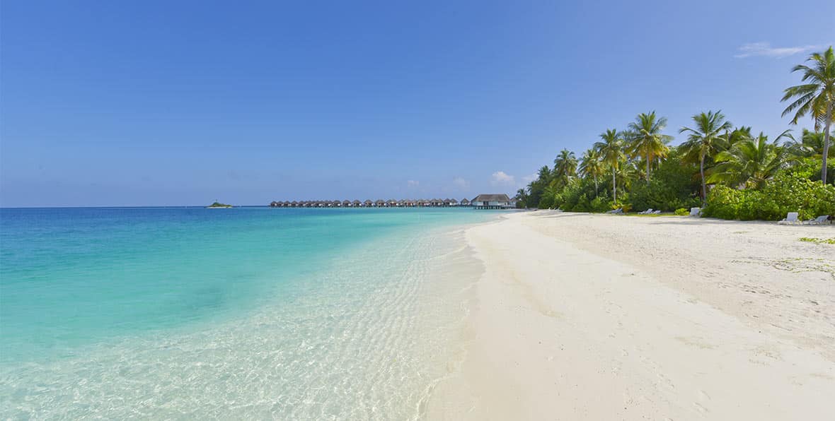 playa y vegetación en Safari Island Resort & Spa Maldives