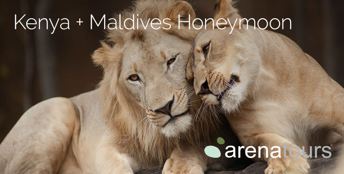 Viaje Africa Kenia Maldives Honeymoonimg Gallery - arenastours.com -