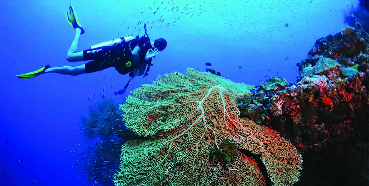 Buceo y snorkeling