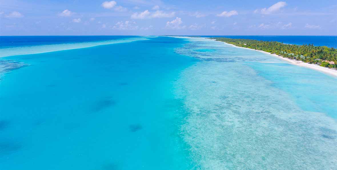 playa oceano y vegetación en Kandima Maldives