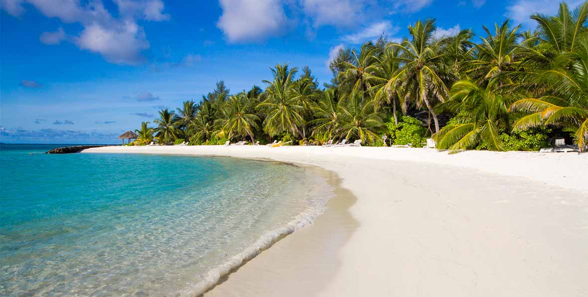 playa y vegetación en Summer Island Maldives