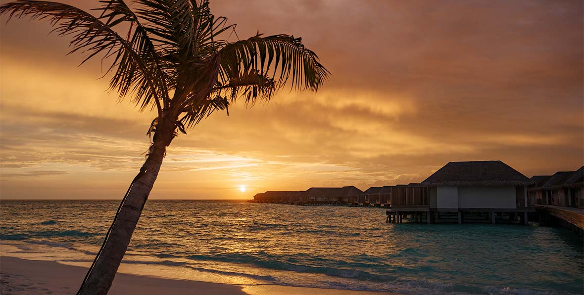 Baglioni Resort Maldives, palmera al atardecer