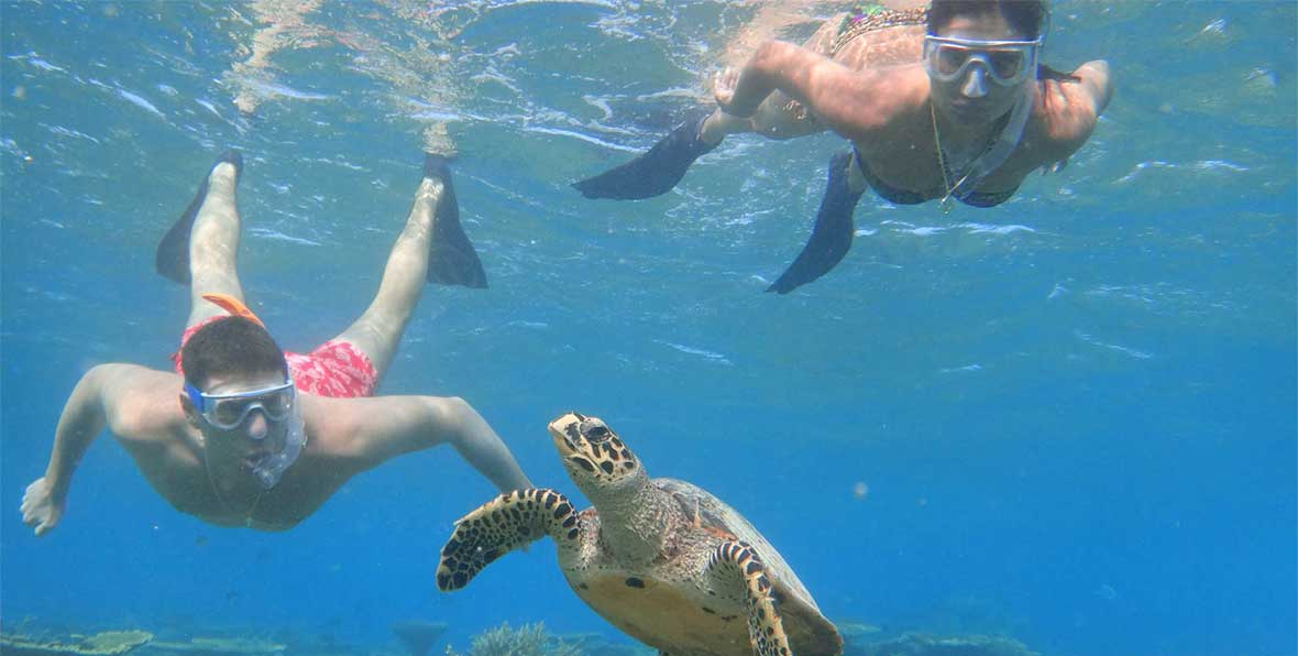 snorkelinbg con tortuga en Fihalhohi Island Resort