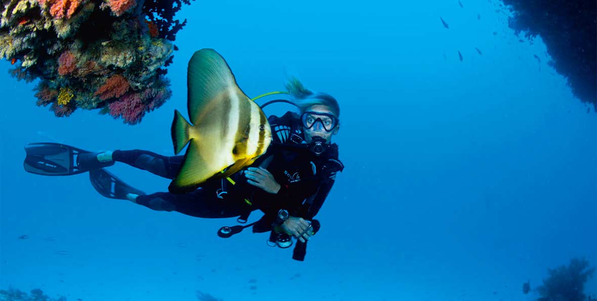 Buceo y Snorkel