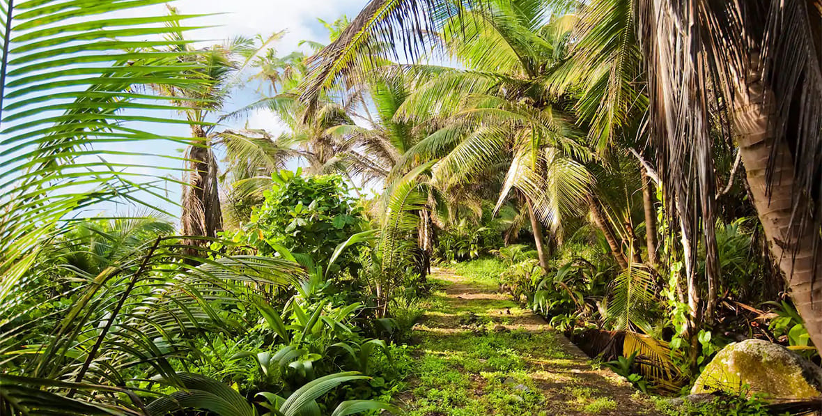 Excursiones en la naturaleza