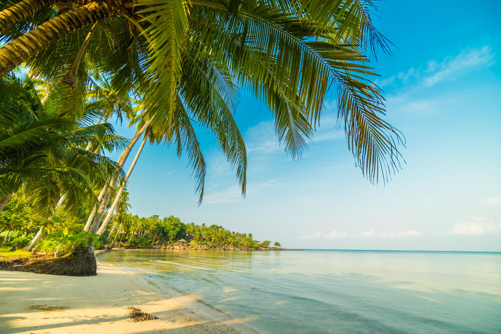 Tahaa Hermosa isla paradisíaca con playa y mar.