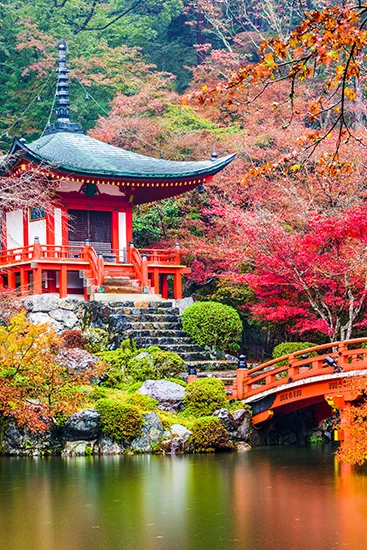 Viaje A Japon - arenatours.com - Viajes a Japón