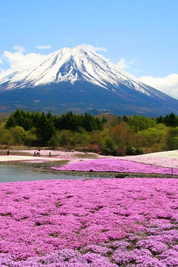 Viajes a Japon - arenatours.com - Viajes a Japón