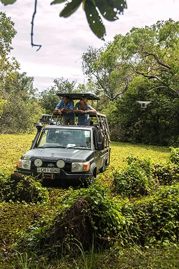 Viaje A Sri Lanka A Medida - arenastours.com - Viajes a Sri Lanka