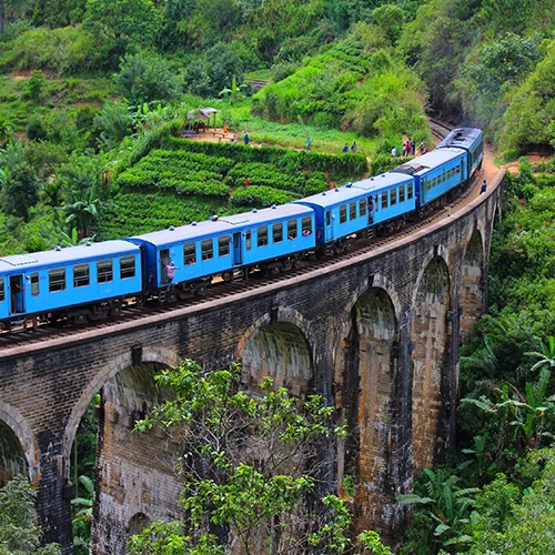 Viaje A Sri Lanka Lujo - arenastours.com - Viajes a Sri Lanka