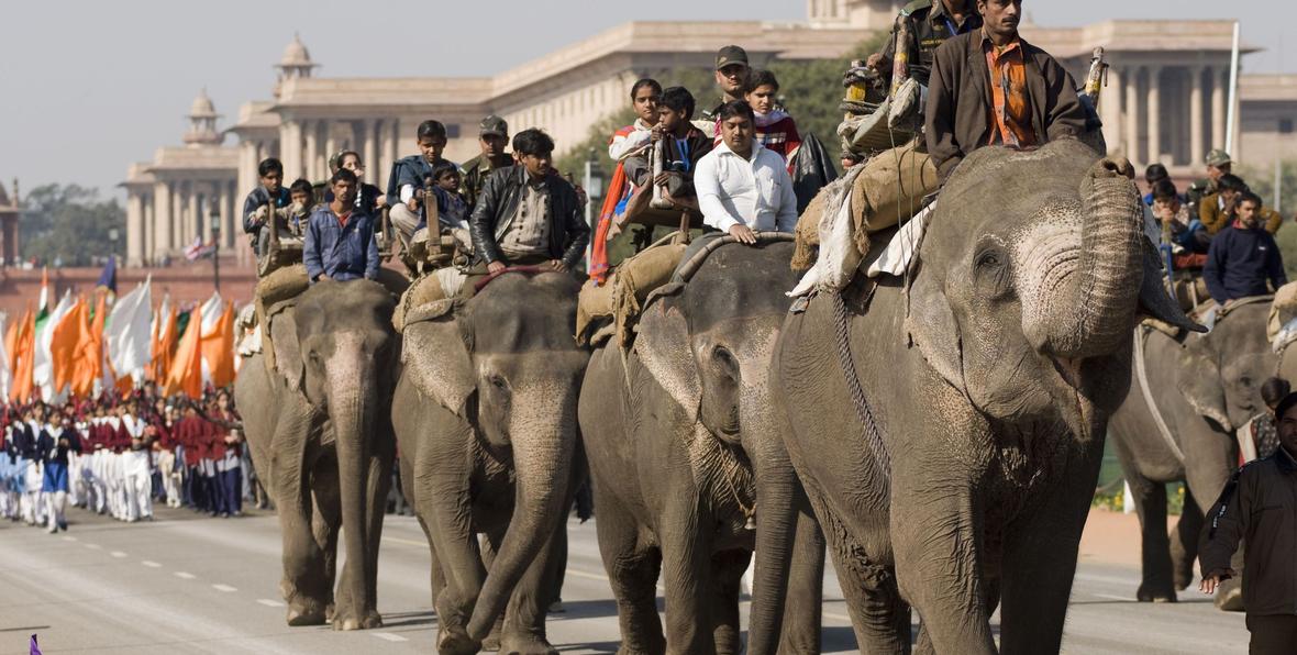 Paseo en elefante en India