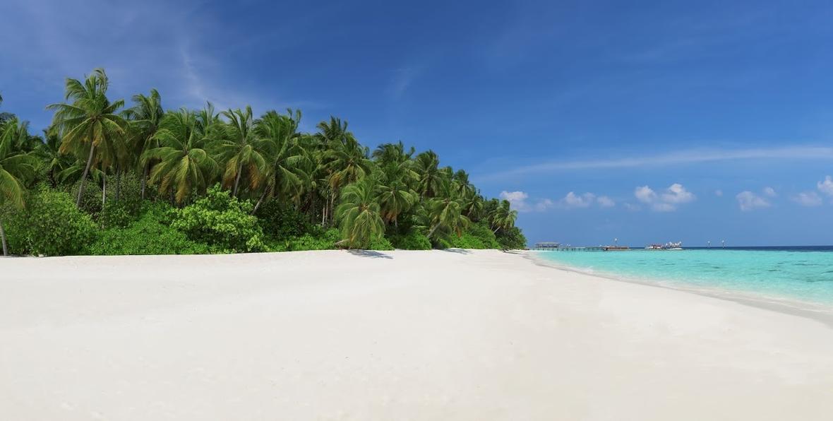 playa y vegetación tropical en Aaa Veee Nature´s Paradise