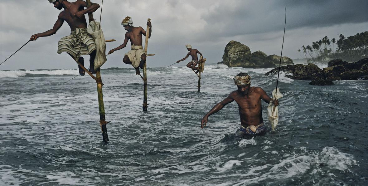 Los pescadores zancudos de Sri Lanka